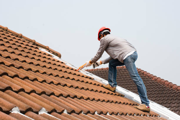 Best Roof Leak Repair  in Canton, GA